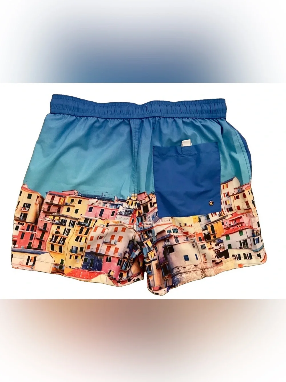 TOPMAN Unique CINQUE TERRE Italy Print SWIM TRUNKS Size Small